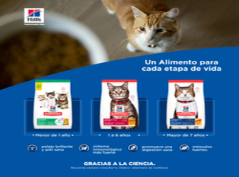 ALIMENTO HILLS image